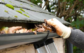 gutter cleaning Red Pits, Norfolk