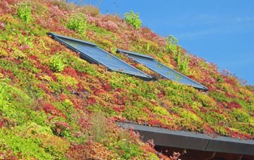 Red Pits living roof systems